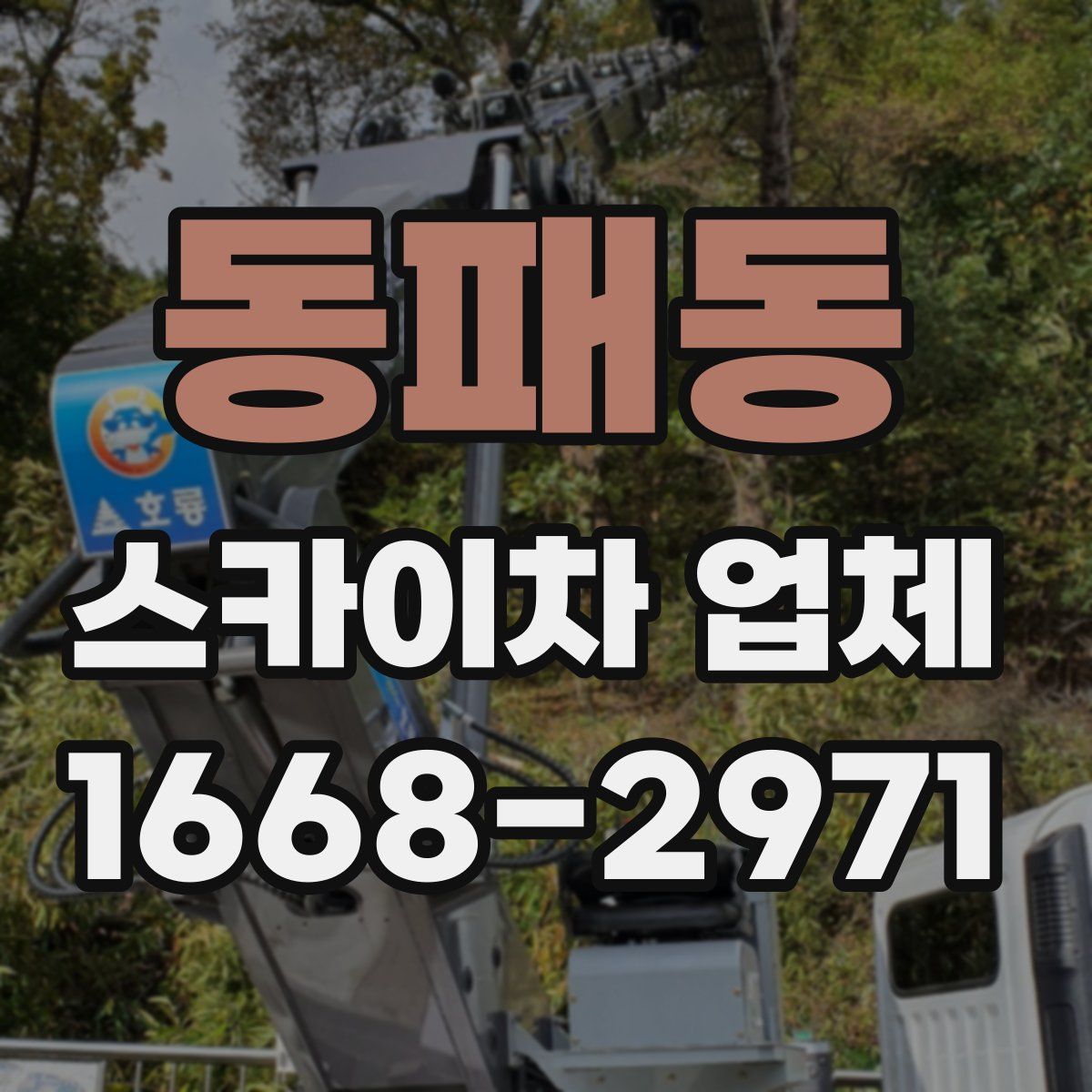 동패동 스카이차 업체