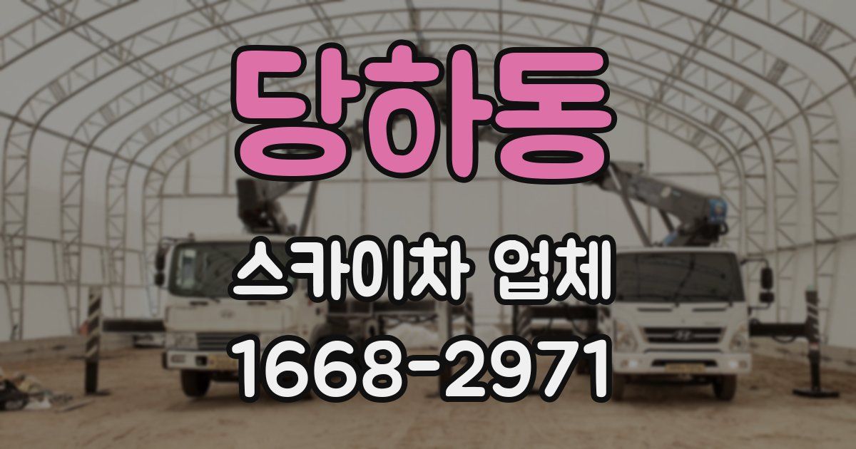 당하동 스카이차 업체