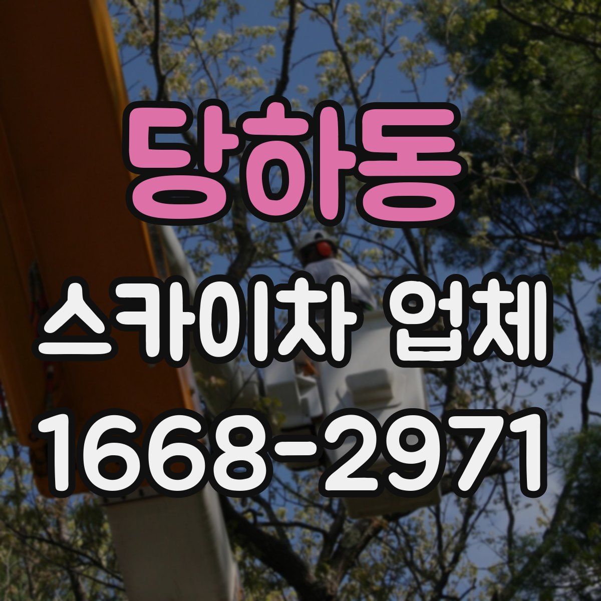 당하동 스카이차 업체