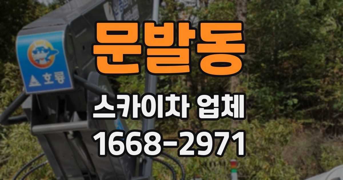 문발동 스카이차 업체