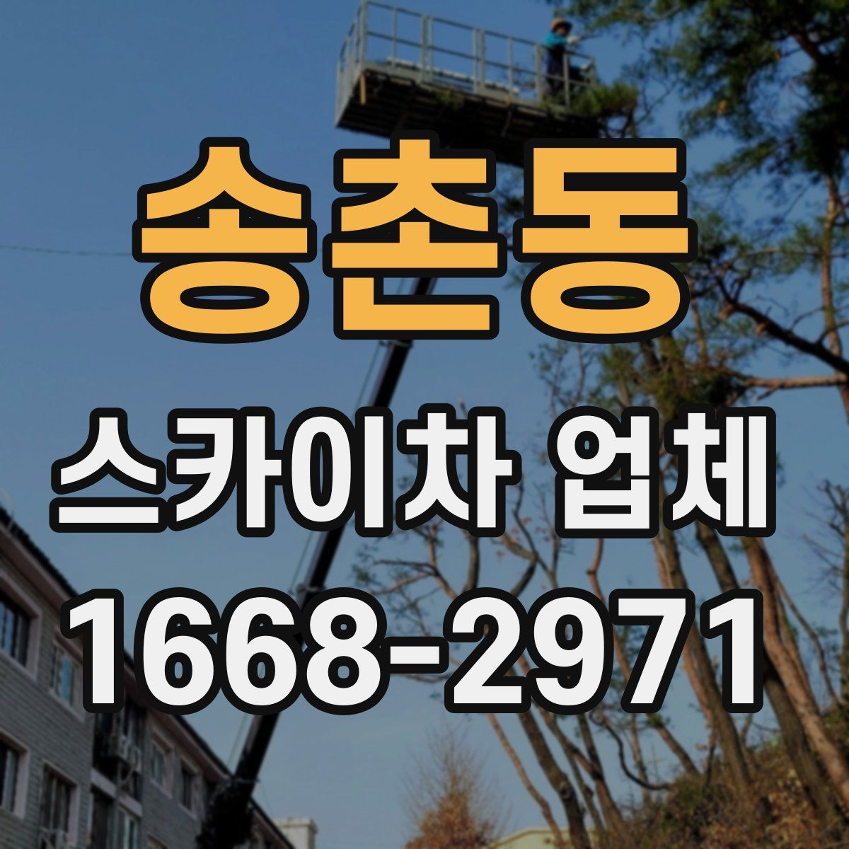 송촌동 스카이차 업체