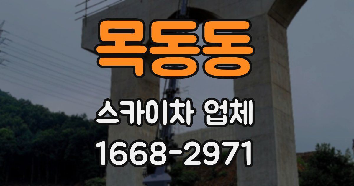 목동동 스카이차 업체