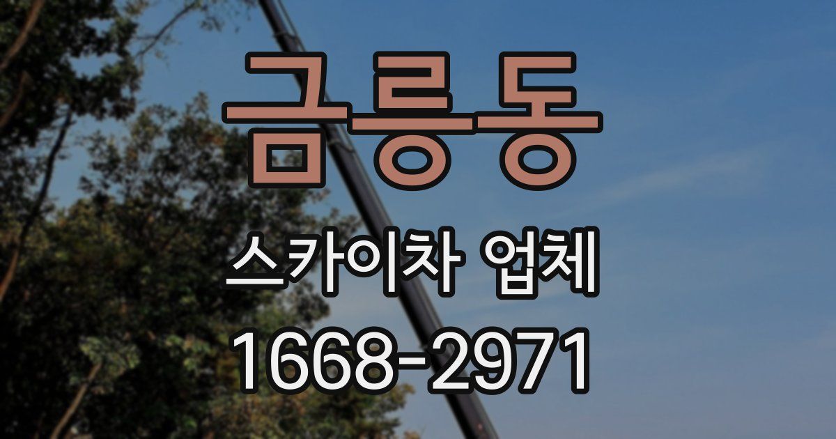 금릉동 스카이차 업체