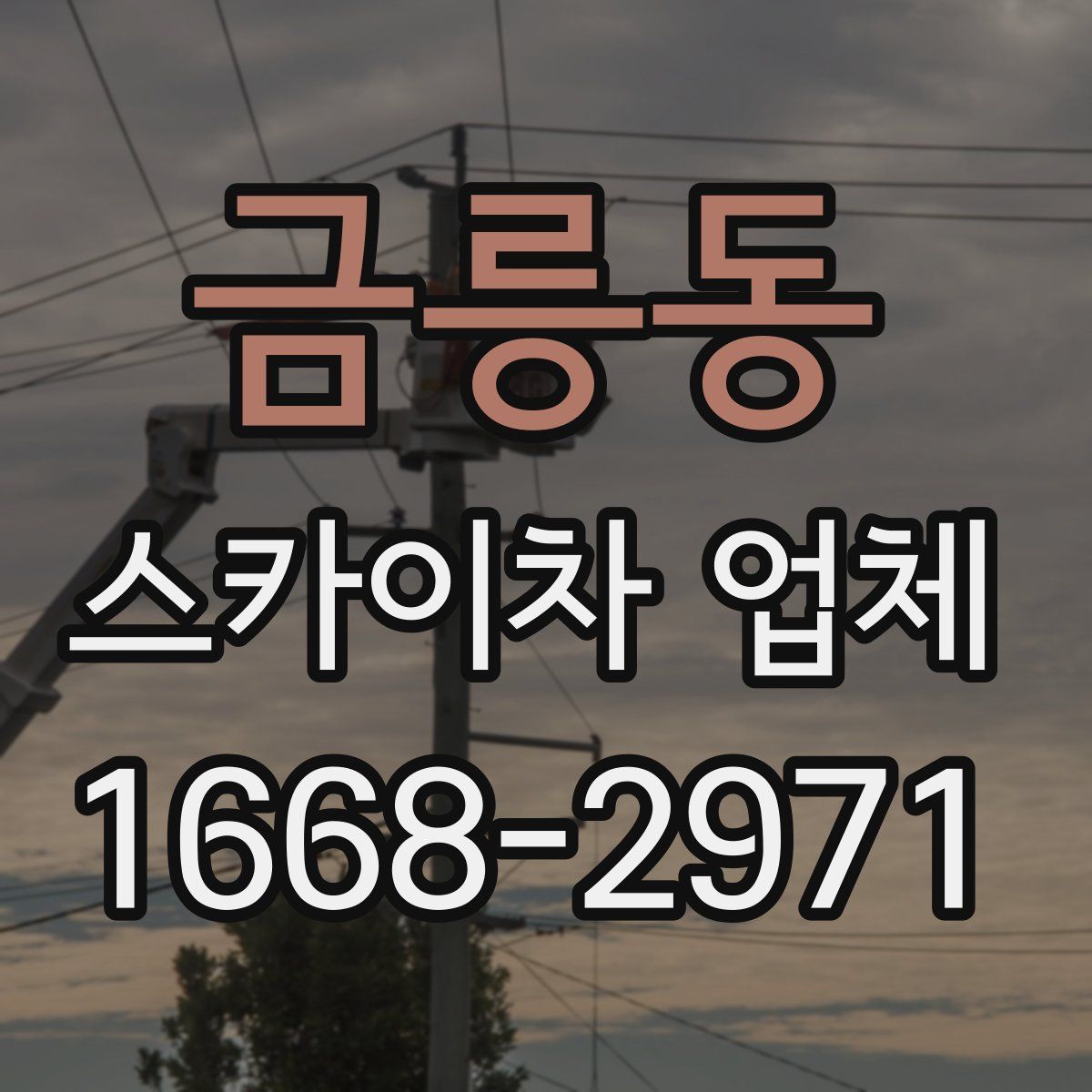 금릉동 스카이차 업체