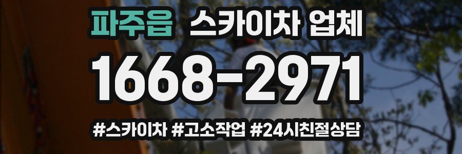 파주읍 스카이차 업체