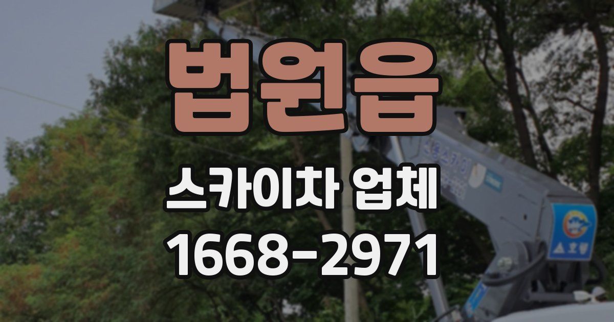 법원읍 스카이차 업체