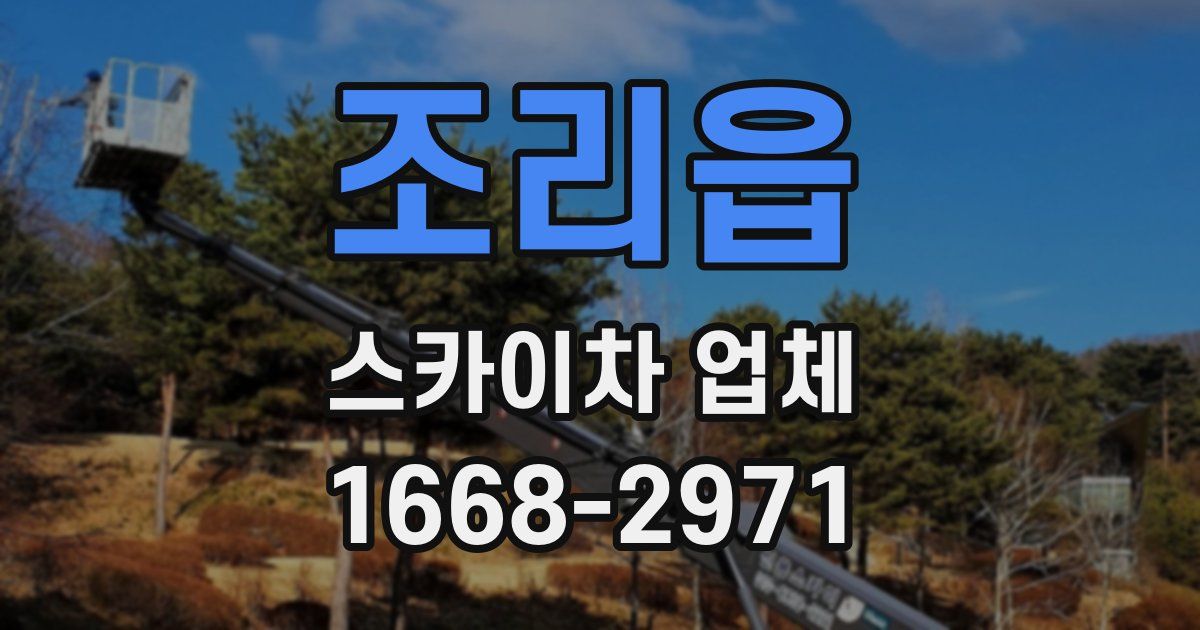 조리읍 스카이차 업체