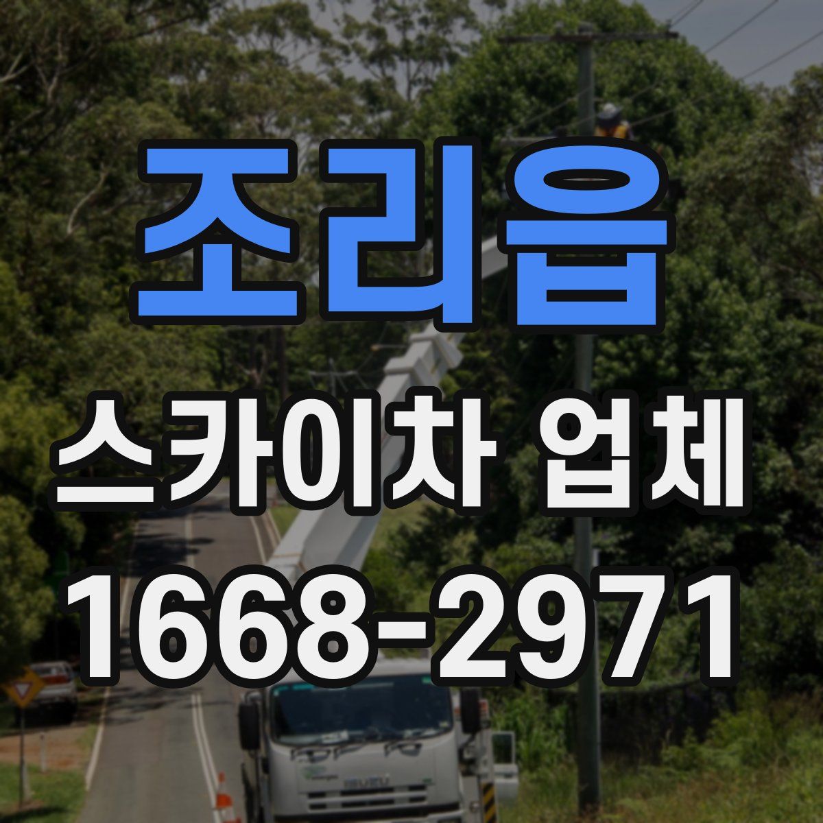 조리읍 스카이차 업체