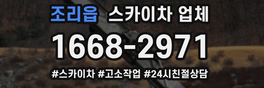 조리읍 스카이차 업체