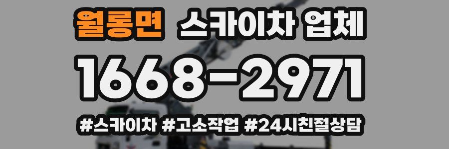 월롱면 스카이차 업체
