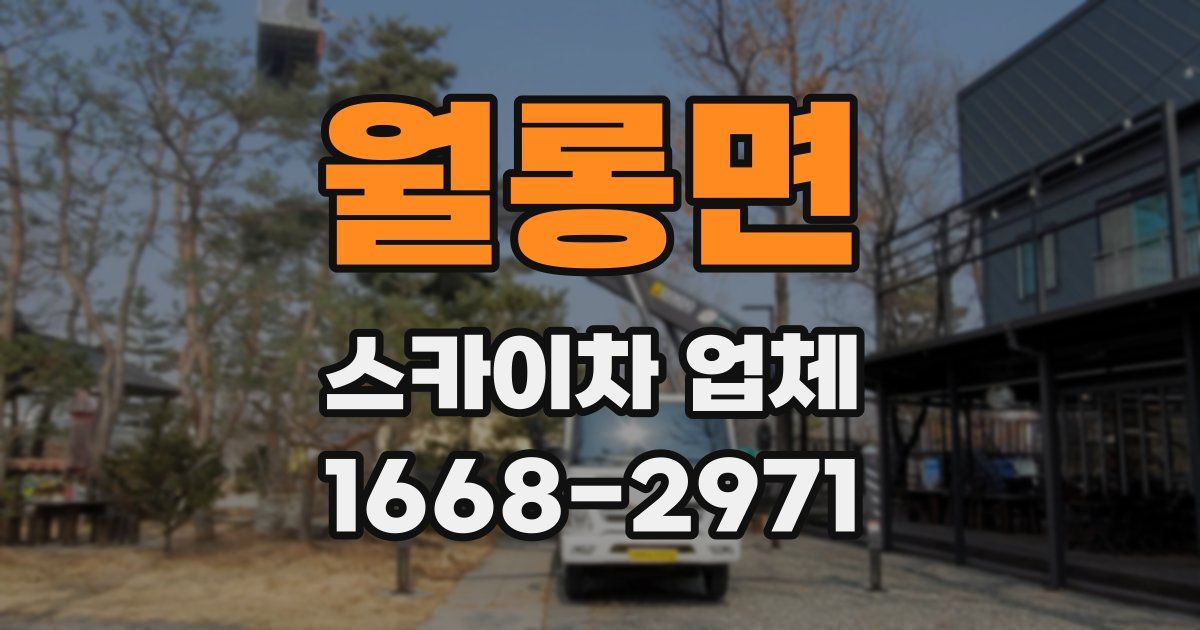 월롱면 스카이차 업체