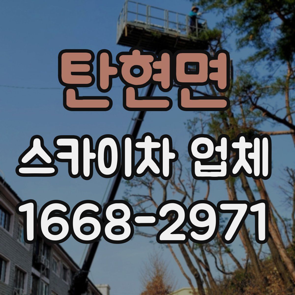 탄현면 스카이차 업체