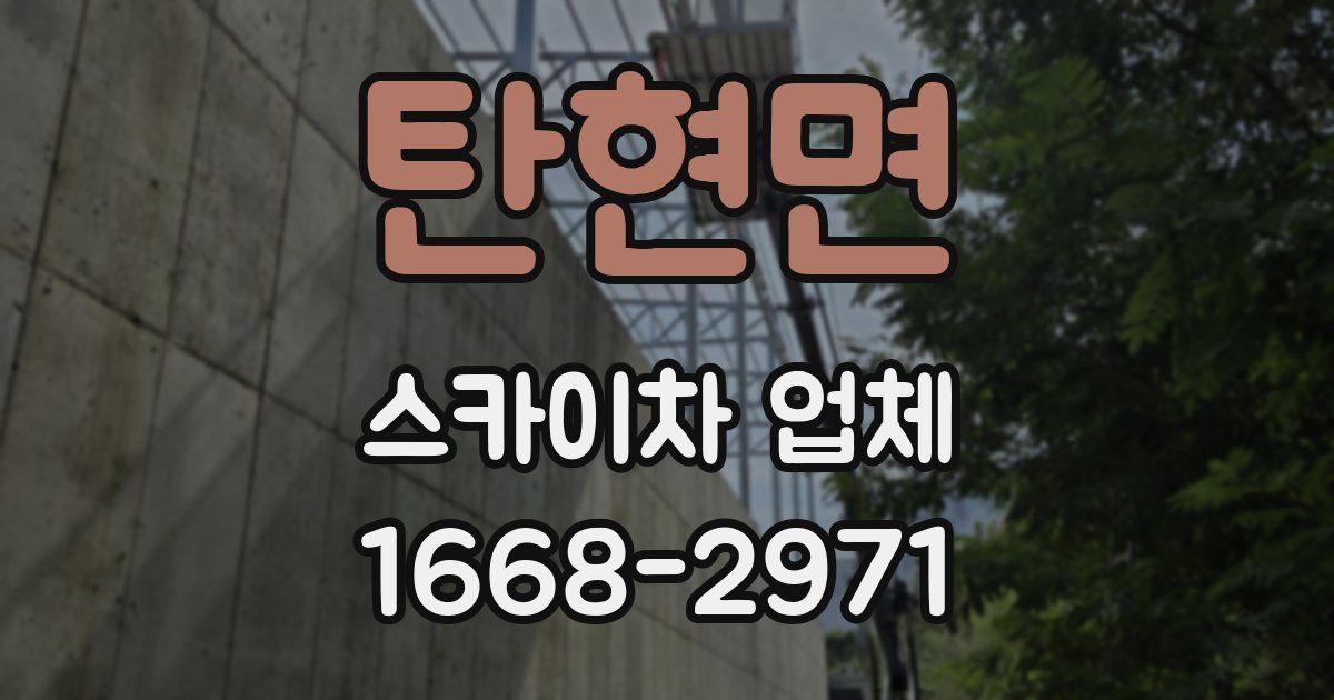 탄현면 스카이차 업체