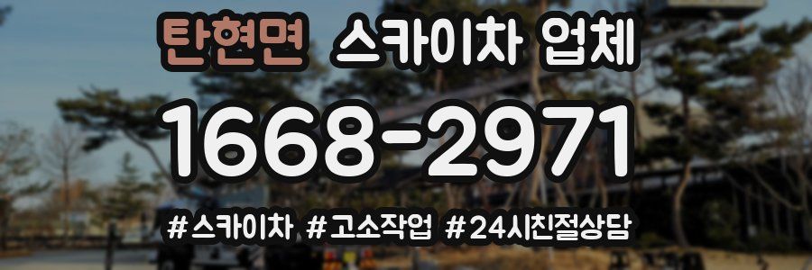 탄현면 스카이차 업체