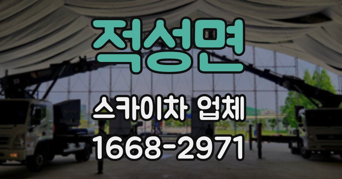 적성면 스카이차 업체
