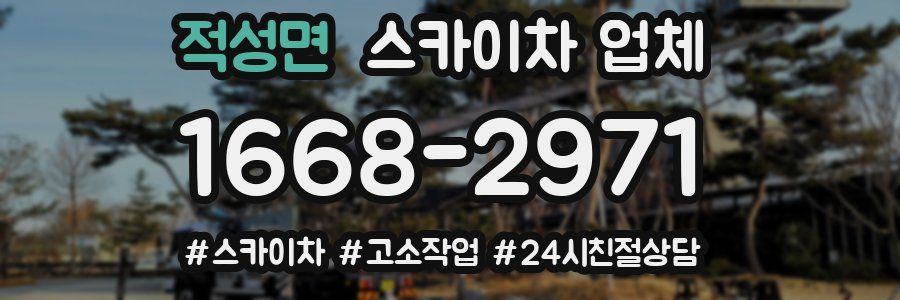 적성면 스카이차 업체