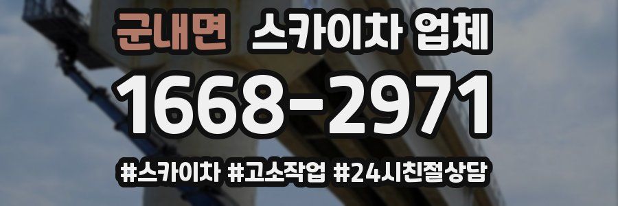 군내면 스카이차 업체