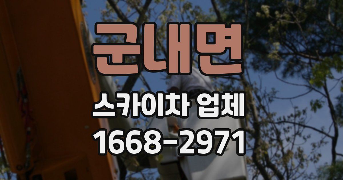 군내면 스카이차 업체