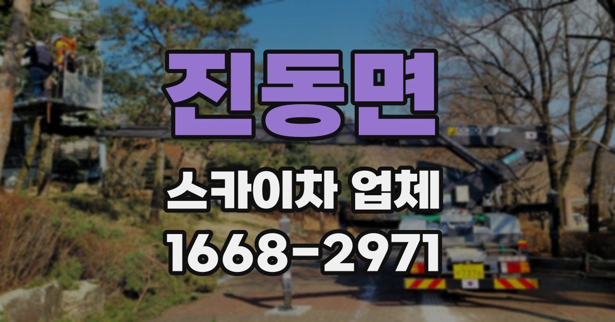 진동면 스카이차 업체