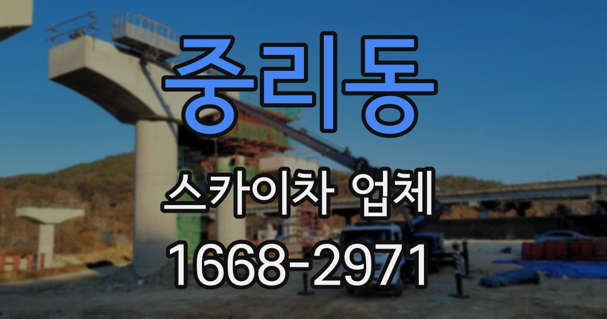 중리동 스카이차 업체