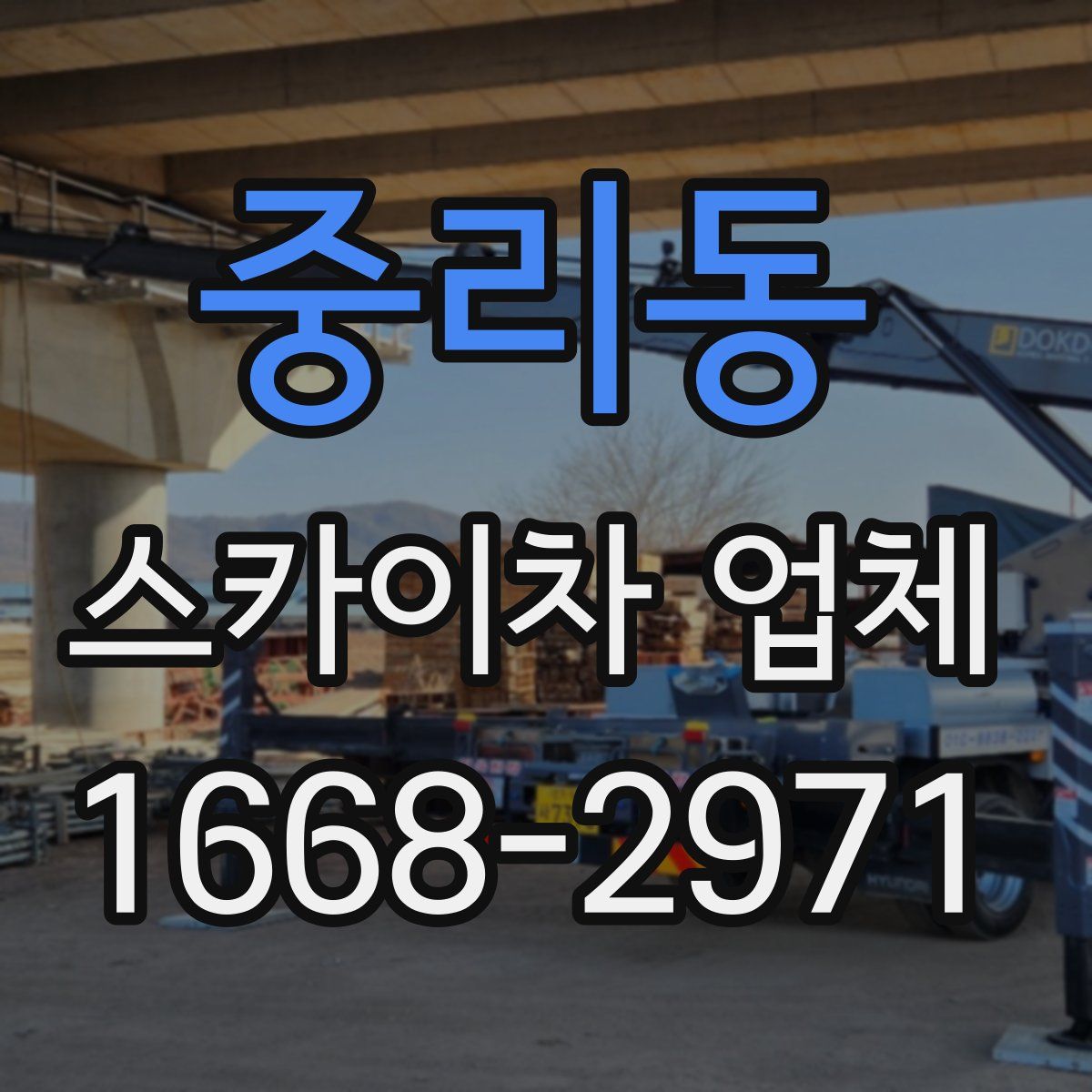 중리동 스카이차 업체
