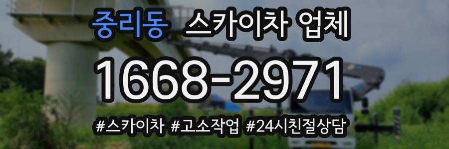 중리동 스카이차 업체
