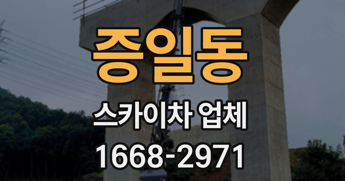 증일동 스카이차 업체