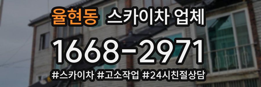 율현동 스카이차 업체
