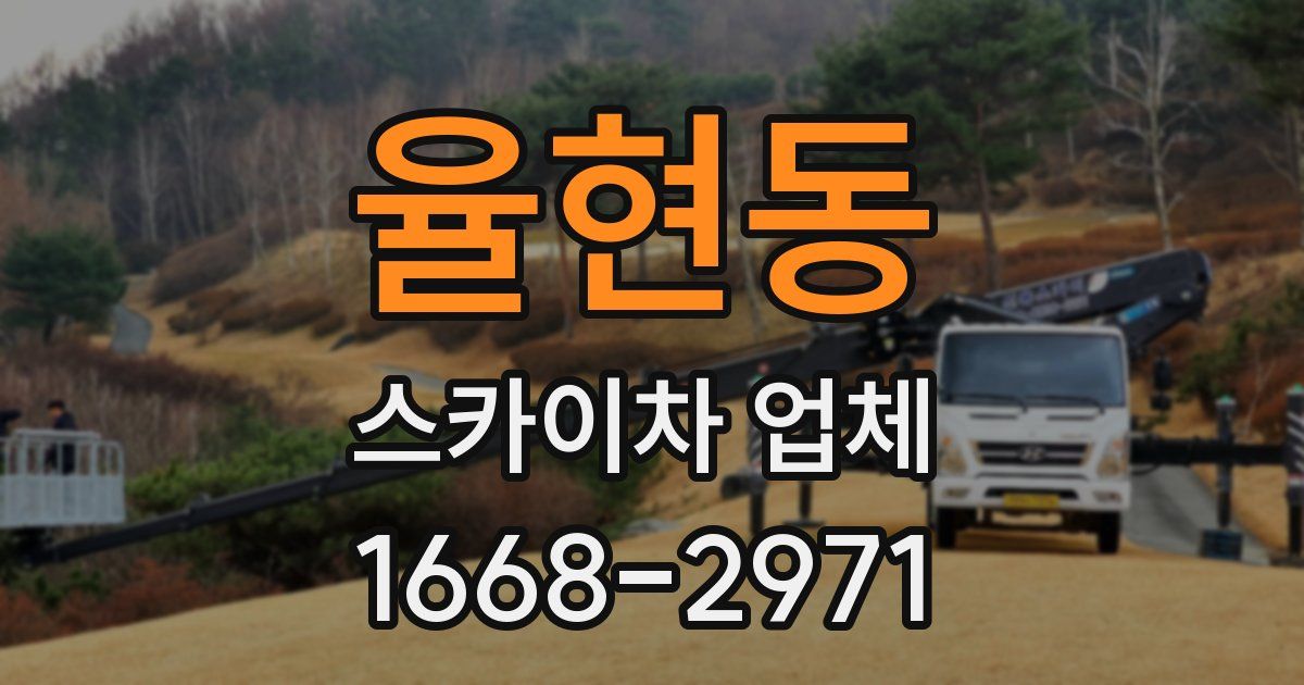 율현동 스카이차 업체