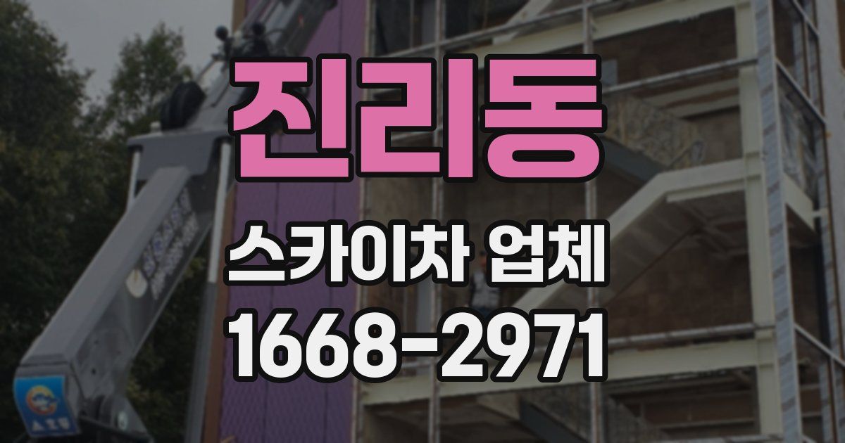 진리동 스카이차 업체