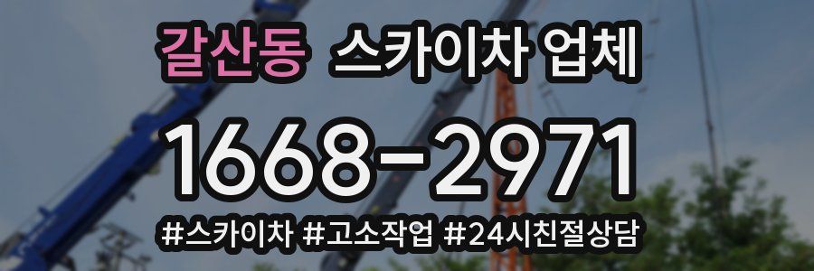 갈산동 스카이차 업체