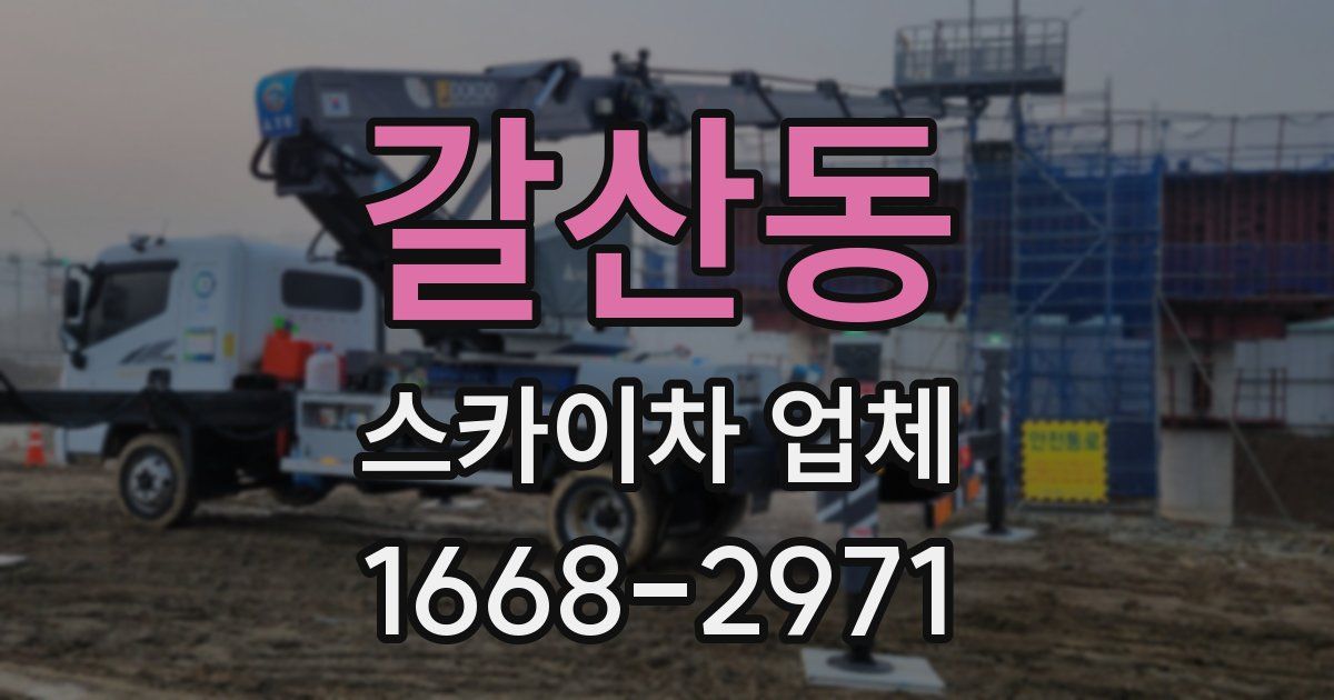 갈산동 스카이차 업체