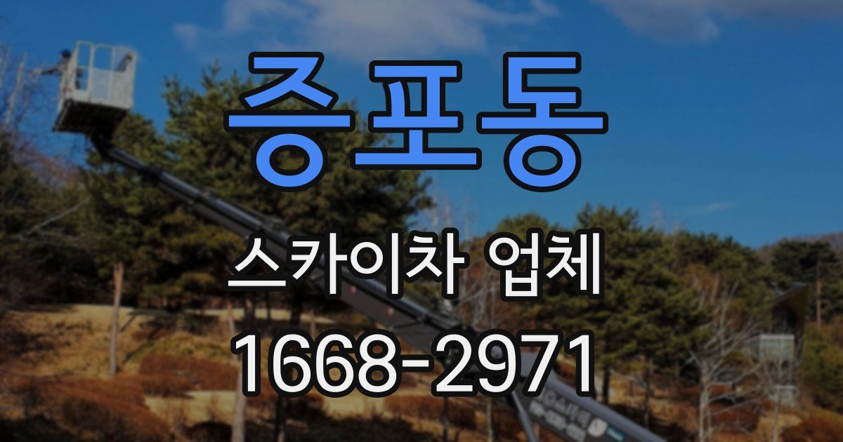 증포동 스카이차 업체