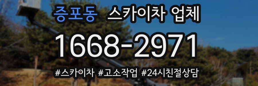 증포동 스카이차 업체