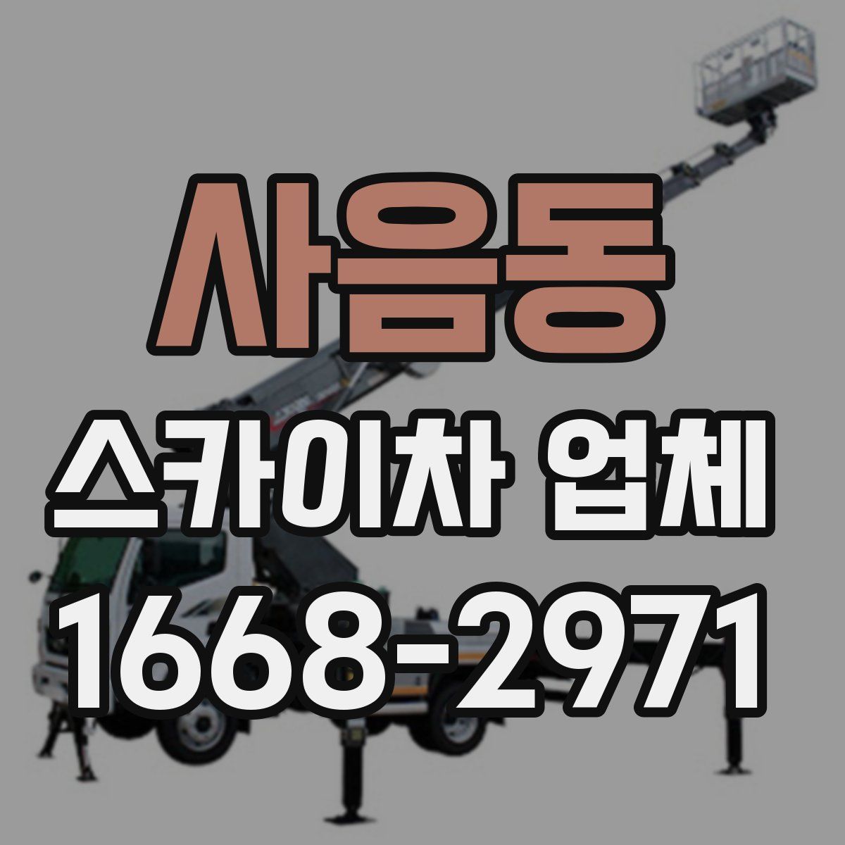 사음동 스카이차 업체