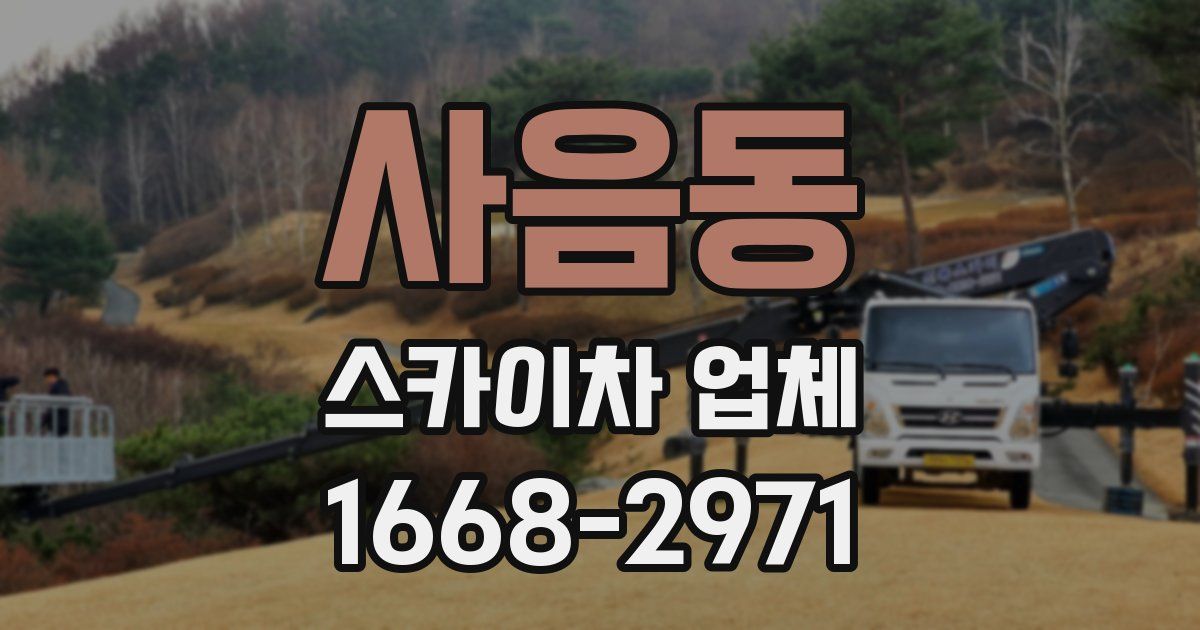 사음동 스카이차 업체