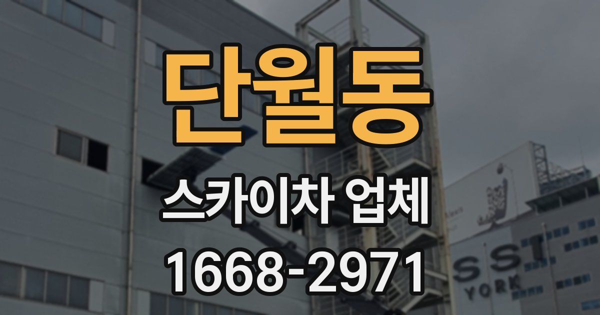 단월동 스카이차 업체