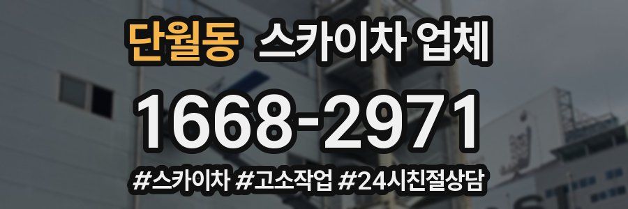 단월동 스카이차 업체