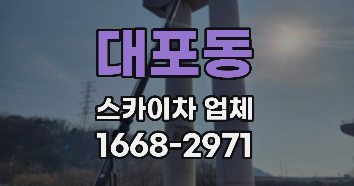대포동 스카이차 업체