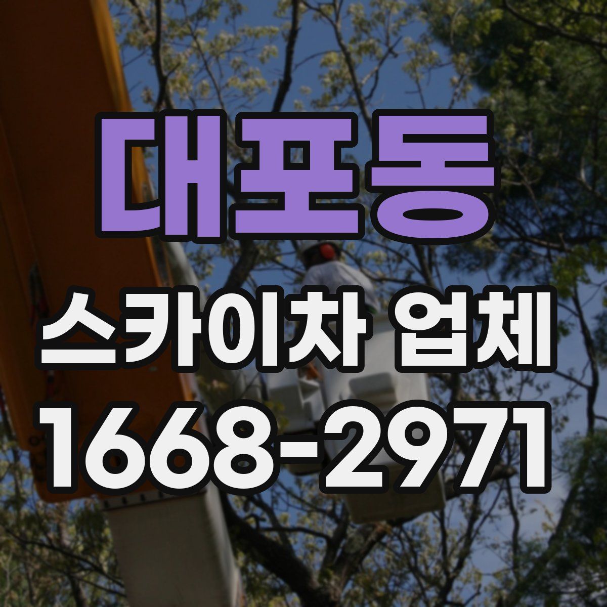 대포동 스카이차 업체