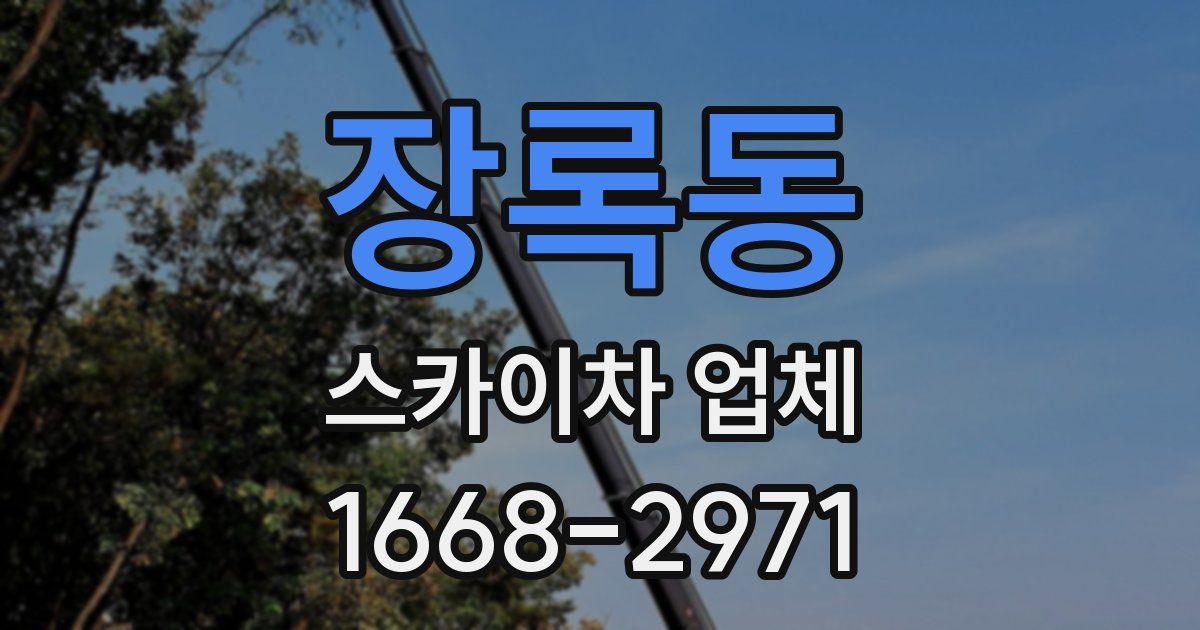 장록동 스카이차 업체
