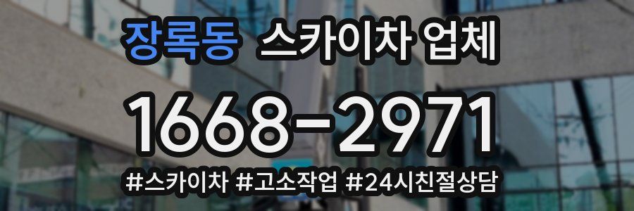 장록동 스카이차 업체
