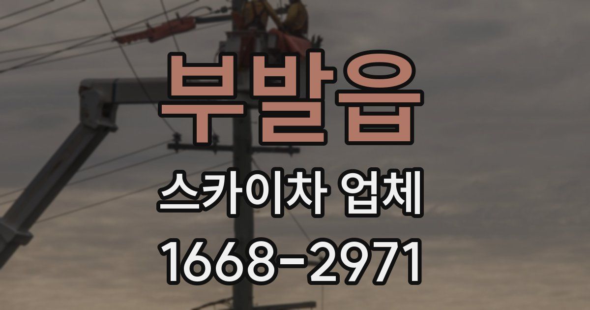 부발읍 스카이차 업체