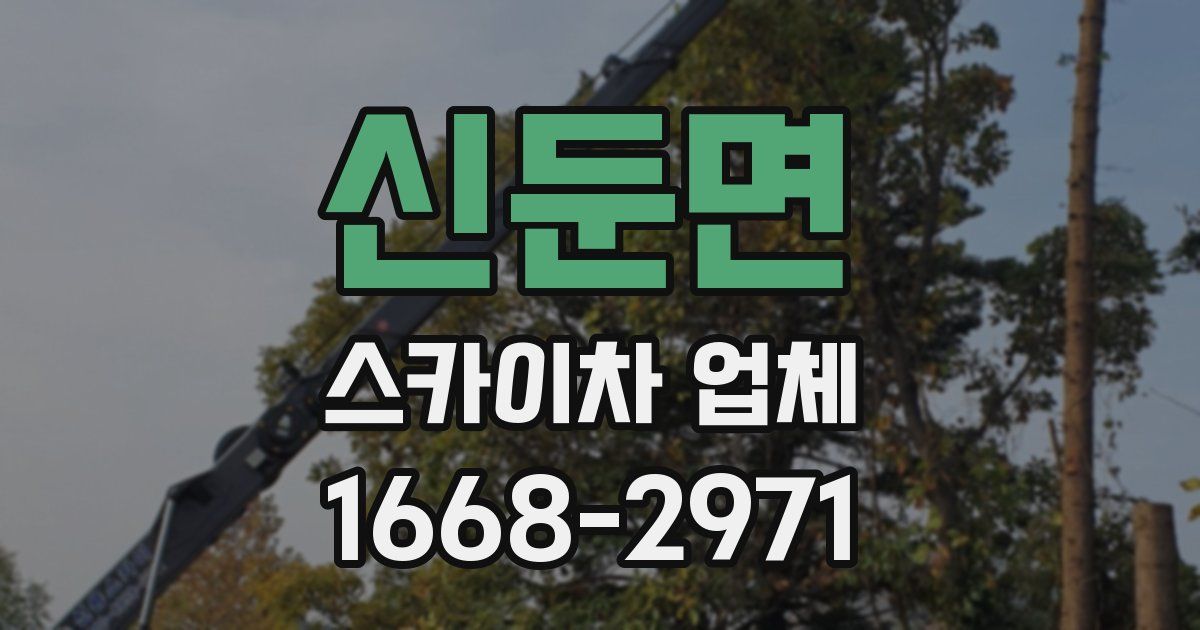 신둔면 스카이차 업체