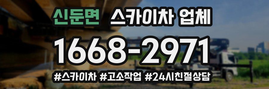 신둔면 스카이차 업체
