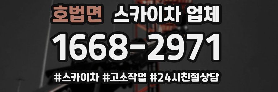 호법면 스카이차 업체