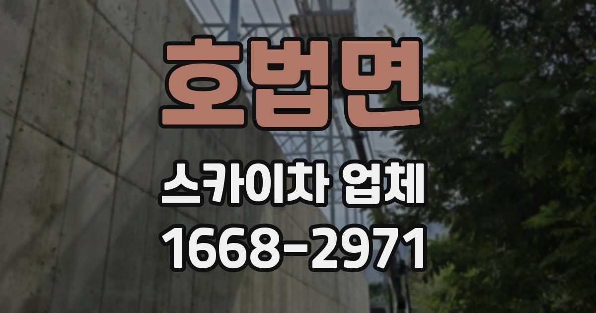 호법면 스카이차 업체