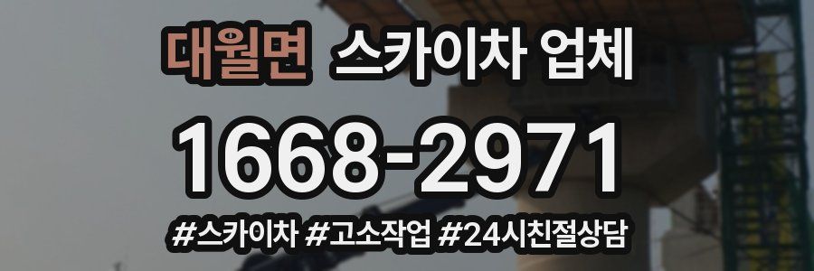 대월면 스카이차 업체