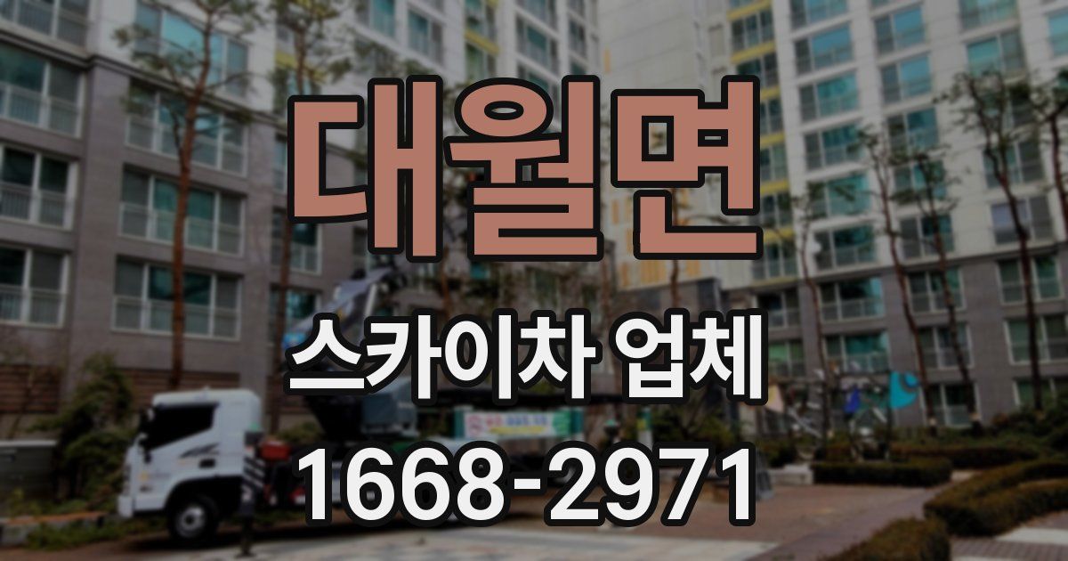대월면 스카이차 업체