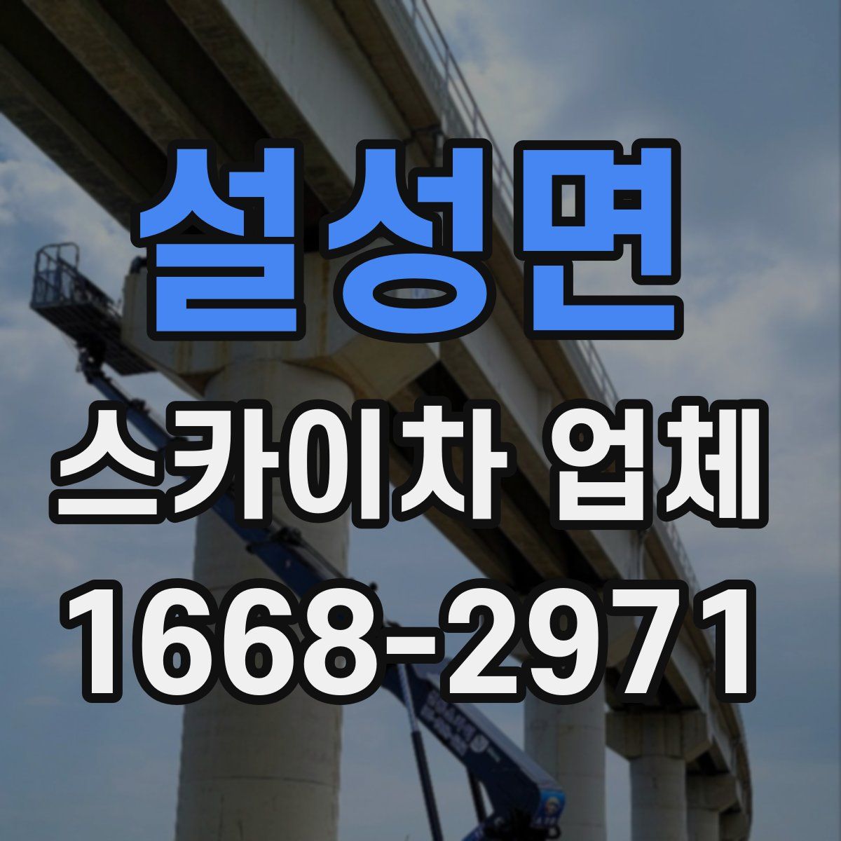 설성면 스카이차 업체